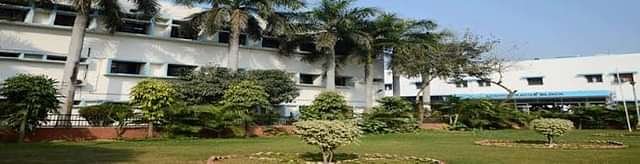 College Image
